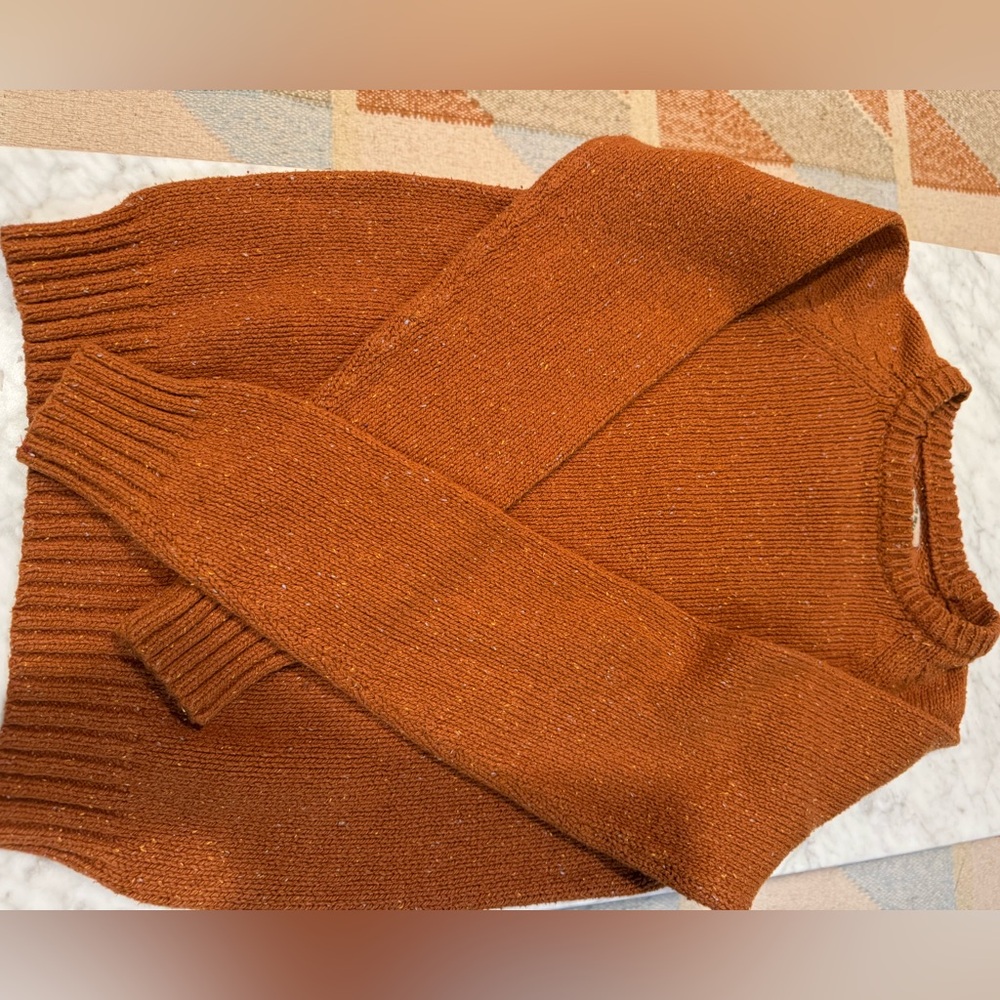 Elegant Rust Women's Crew Neck Sweater